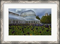 Framed Palm House in the Botanic Gardens, Northern Ireland