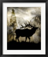 Framed 'Mystic Elk' border=