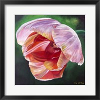 Framed Lit Tulip 2