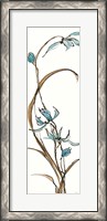 Framed Spring Orchids II on White