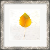 Framed 'Autumn Colors III' border=