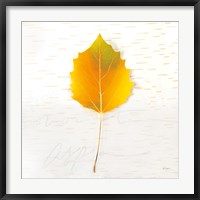 Framed Autumn Colors III