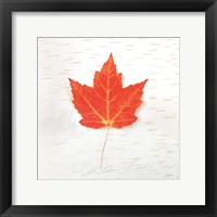 Framed 'Autumn Colors I' border=
