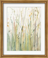 Framed Spring Grasses I Crop