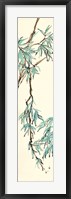 Summer Bamboo II Framed Print