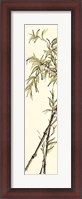 Framed Summer Bamboo I