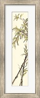 Framed Summer Bamboo I