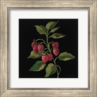 Framed Framboise no Words