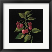 Framboise no Words Framed Print