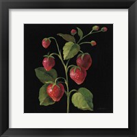 Fraise no Words Framed Print