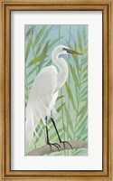Framed Egret by the Shore I