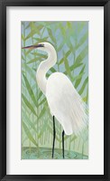 Egret by the Shore II Framed Print