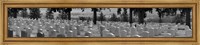 Framed Gravestones, Custer National Cemetery, Montana