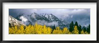 Framed Mount Saint John, Grand Teton National Park, Wyoming