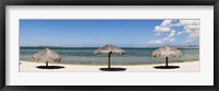 Framed Sun Shade on the Beach of La Paz, Baja California Sur, Mexico