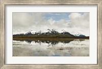 Framed Snowcapped Chugach Mountains in Copper River Delta, Chugach National Forest, Alaska