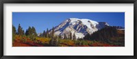 Framed Mt. Rainier and Fall Color, WA