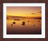 Framed Southwest Harbor Before Sunrise, Mt. Desert Island, Maine