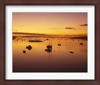 Framed Southwest Harbor Before Sunrise, Mt. Desert Island, Maine