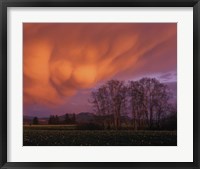 Framed Clouds in the Evening Light, Skagit Valley, Washington