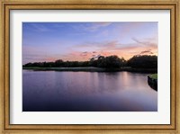 Framed Sunset Over Golf Course in Sarasota, Florida