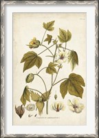 Framed Elegant Botanical I