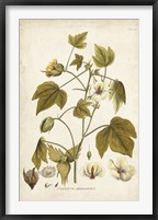 Elegant Botanical I Framed Print