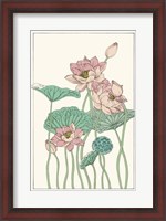 Framed Botanical Gloriosa Lotus I