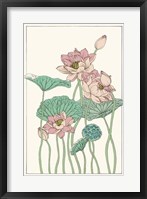 Botanical Gloriosa Lotus I Framed Print