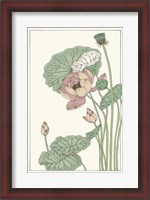 Framed Botanical Gloriosa Lotus II
