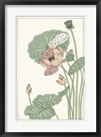Framed Botanical Gloriosa Lotus II