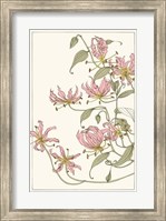 Framed Botanical Gloriosa Lily I