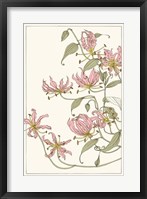 Botanical Gloriosa Lily I Framed Print