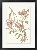 Framed Botanical Gloriosa Lily II