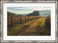 Framed Grassy Lane