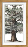 Framed Oak Tree Composition I