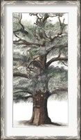 Framed Oak Tree Composition I