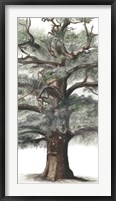 Framed Oak Tree Composition I