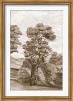 Framed Sepia French Wall Paper II