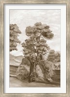 Framed Sepia French Wall Paper II