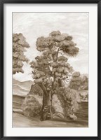 Sepia French Wall Paper II Framed Print