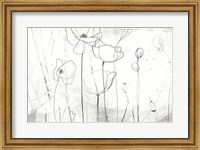 Framed Poppy Sketches I