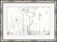 Framed Poppy Sketches I