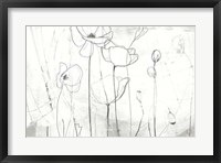 Poppy Sketches I Framed Print