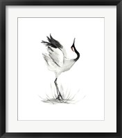 Japanese Cranes I Framed Print