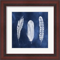Framed Cyanotype Feathers I