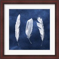 Framed Cyanotype Feathers II