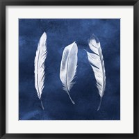 Framed Cyanotype Feathers II