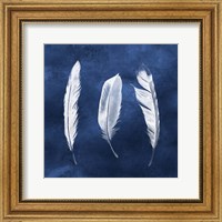 Framed Cyanotype Feathers II