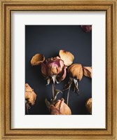 Framed Wilted Dreams II